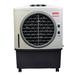 Usha Honeywell CL48PM Air Cooler-1 Usha Honeywell CL48PM Air Cooler-1