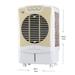 BLUESTAR DA60LMA Desert Air Cooler-2