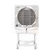 Symphony Diamond - 61 I Portable Air Cooler-1 Symphony Diamond - 61 I Portable Air Cooler-1
