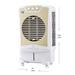 BLUESTAR DA35LMA Desert Air Cooler-2