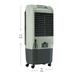 BLUESTAR DA60EEA Desert Air Cooler-2 BLUESTAR DA60EEA Desert Air Cooler-2