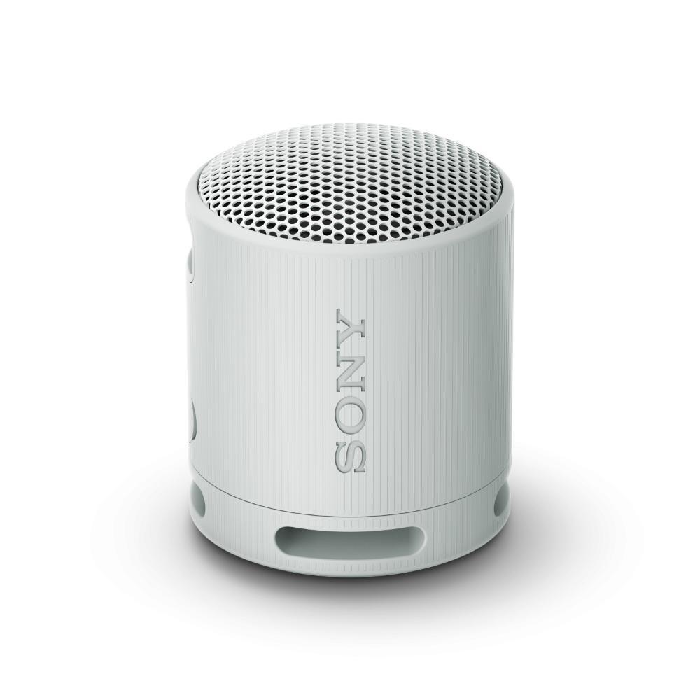Sony Bluetooth Speaker SRS-XB100/HZIN, Grey