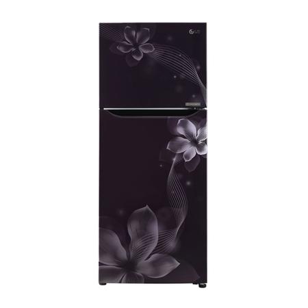 Buy LG 260 litres 2 Star Double Door Refrigerator, Purple Orchid