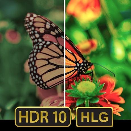 AKAI 109 cm (43 Inch) Bezel-Less 4K UHD Smart QLED Google TV, AL43GQU-SFWS-5