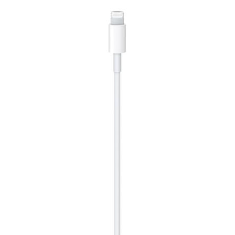 Apple USB-C To Lightning Cable, 100 cm (1 m) length, Compatible with upto 96 W USB-C Power Adapter, Fast Charging, Original, White-1