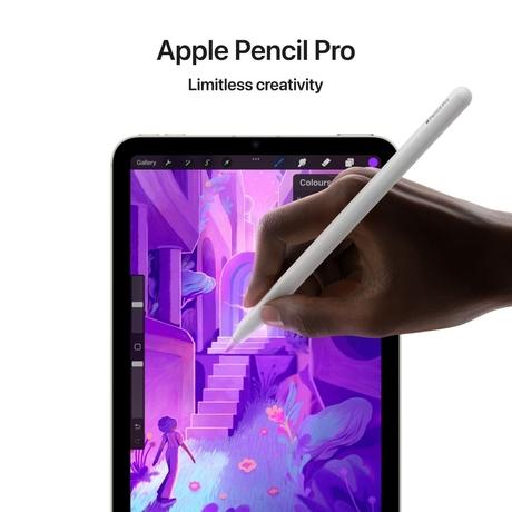Apple iPad Mini A17 Pro 2024 21.08 cm (8.3 inch) Wi-Fi + Cellular Tablet, 512 GB, Space Grey, MYHC3HN/A-5