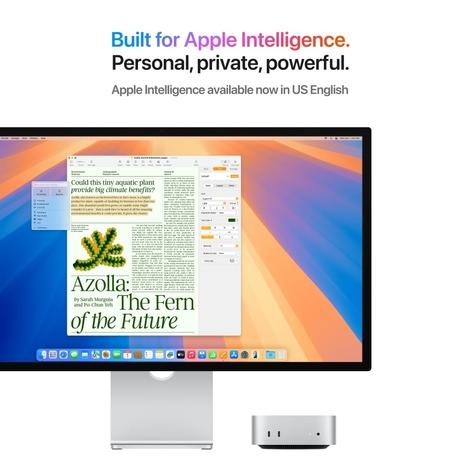 Apple Mac mini (10-Core Apple M4 Chip/24 GB/512 GB SSD) MCYT4HN/A, Silver-3
