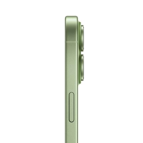 Apple iPhone 17 256 GB, Sage-4