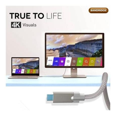 Bandridge U Series SMU-00186 1 m High Speed 3.1 USB to USB Type-C Cable, Grey-3