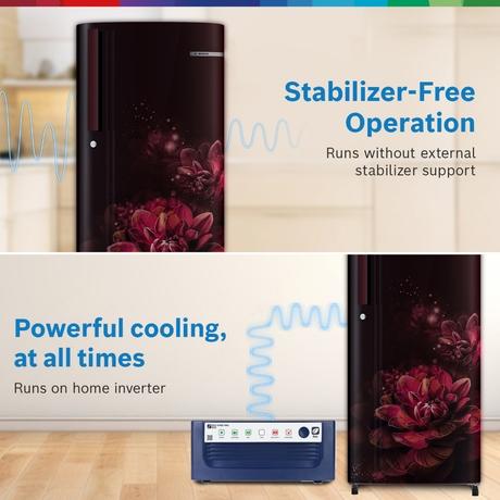 Bosch 185L Direct Cool Single Door Refrigerator, COT18W21EI, Wine Flower-11