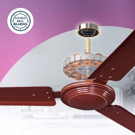 Crompton Hill Briz 1200 mm Ceiling Fan, 2 Years Warranty, Brown, Pack of 1-3