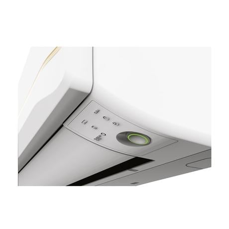 Hitachi Hot And Cold Ac Ton Buy Hitachi Ton Star Shizen 3100X