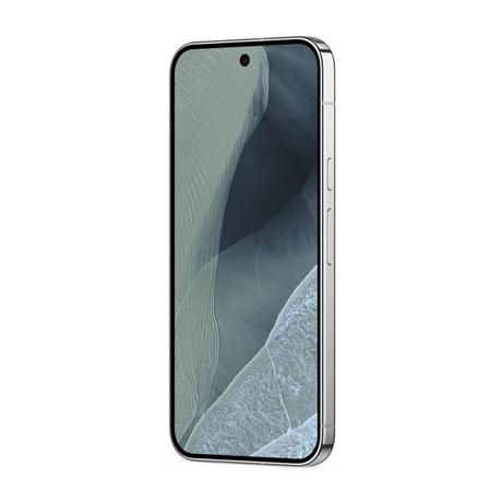 Google Pixel 11 Pro XL 256 GB, 12 GB RAM, Fog, Mobile Phone-3