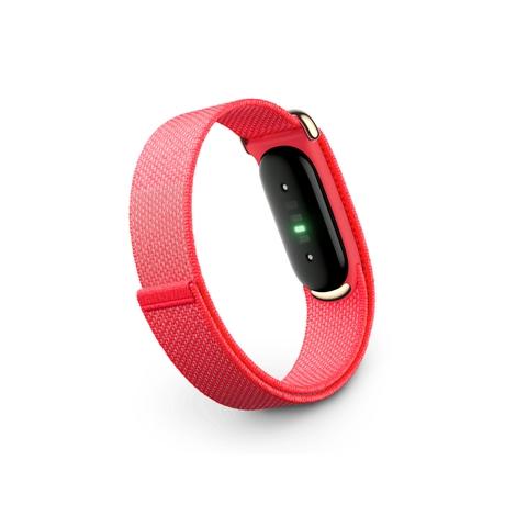 Google Fitbit Air Fitness Tracker, Berry-1