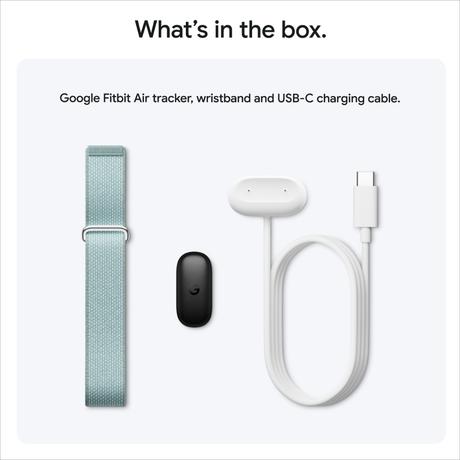 Google Fitbit Air Fitness Tracker, Fog-3