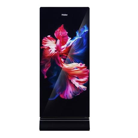 Haier 190 L 3 Star Single Door Refrigerator (HRD-2113PWGA-N, Wave Glass)-0