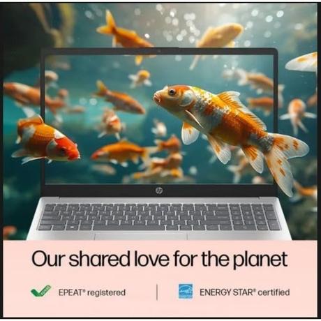 HP 15s 15 FD0623TU Standard Laptop (13th Generation Intel Core i3 Processor/8 GB/512 GB SSD/Intel integrated SoC/Windows 11 Home/MS Office Home 2024 + 1 year M365 Basic/Full HD), 39.62 cm - 15.6 inch, Natural Silver-1