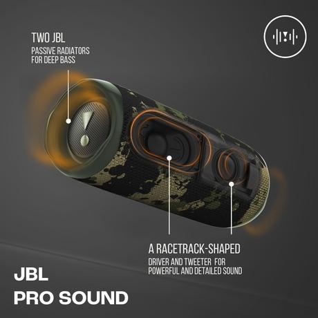 JBL Flip 6 Wireless Portable Bluetooth Speaker with JBL Pro Sound, Upto 12 Hours Playtime, IP67 Water & Dustproof, PartyBoost & Personalization by JBP App (Without Mic), Squad-3