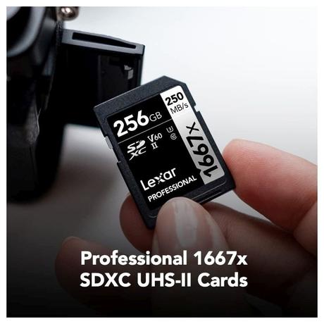 Lexar Professional 1667x 256 GB Silver Series SDXC Memory Card-2