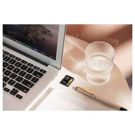 Lexar Professional 1800x 256 GB Gold Series SDXC Memory Card-7
