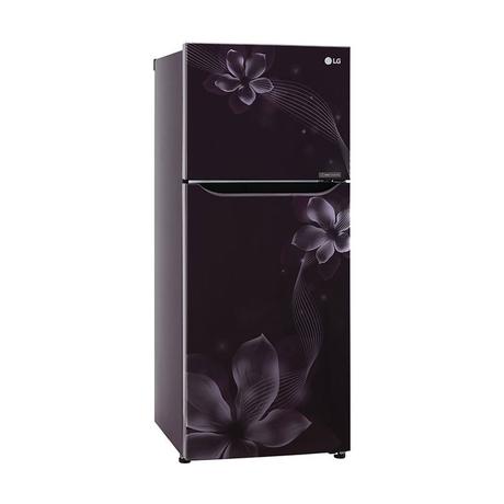 Buy LG 260 litres 2 Star Double Door Refrigerator, Purple Orchid