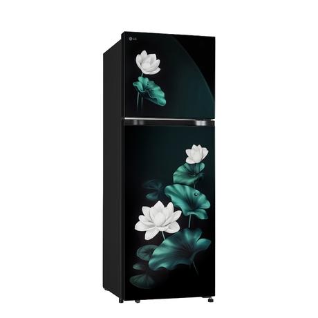 LG 251 L 2 Star Convertible, Double Door Refrigerator, Emerald Lotus, GLT2526XWEL-1