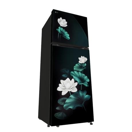 LG 251 L 2 Star Convertible, Double Door Refrigerator, Emerald Lotus, GLT2526XWEL-3