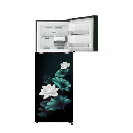 LG 251 L 2 Star Convertible, Double Door Refrigerator, Emerald Lotus, GLT2526XWEL-9