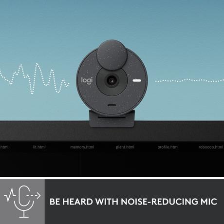 Logitech Brio 300 Web Camera, Graphite-3