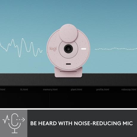Logitech Brio 300 Web Camera, Rose-3