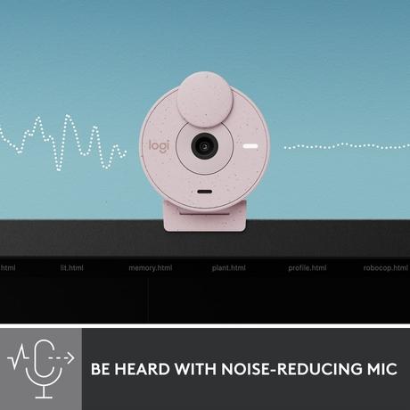 Logitech Brio 300 Web Camera, Rose-3
