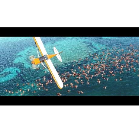 Microsoft Flight Simulator: Standard Edition, Xbox Series X S-11