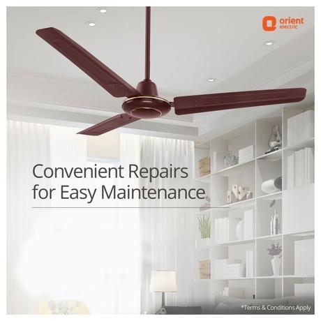 Orient Electric Ujala Energy Saver 1200 mm 3 Blade Ceiling Fan, Brown-5