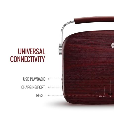 Saregama Carvaan Hindi - Portable Music Player with 5000 Preloaded Songs, FM/BT/AUX (Cherrywood Red)-3