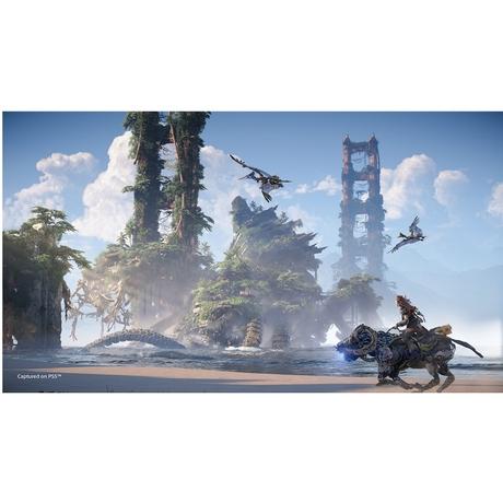 PS5 Horizon Forbidden West Std-3