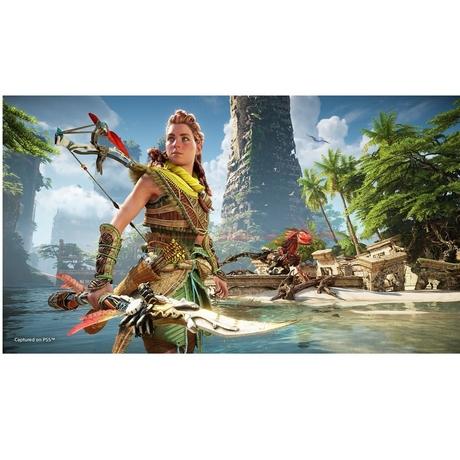 PS5 Horizon Forbidden West Std-5