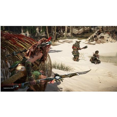 PS5 Horizon Forbidden West Std-7