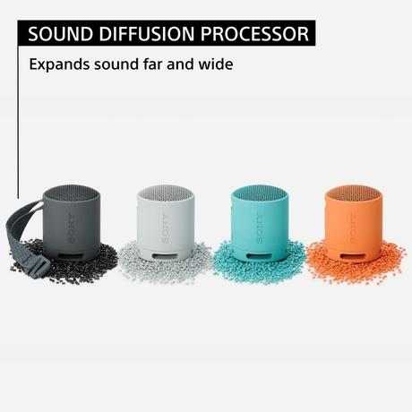 Sony Bluetooth Speaker SRS-XB100/BZIN, Black-6