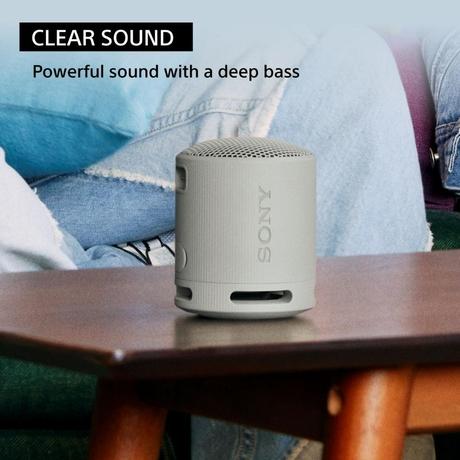 Sony Bluetooth Speaker SRS-XB100/HZIN, Grey-3