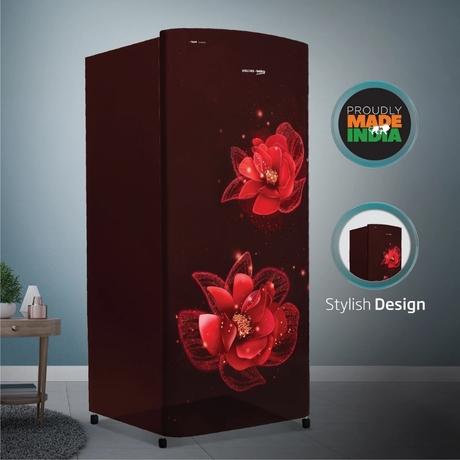 Voltas Beko DC 183L 3S Direct Cool Refrigerator (RDC215B, Fressia Purple)-1