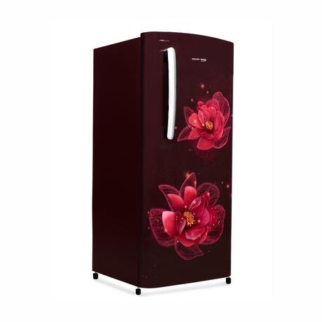 Voltas Beko DC 183L 3S Direct Cool Refrigerator (RDC215B, Fressia Purple)-4