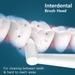 Agaro Cosmic Plus Sonic Electric Tooth Brush, Rose Gold-5 Agaro Cosmic Plus Sonic Electric Tooth Brush, Rose Gold-5