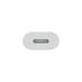 Apple USB-C To Lightning Adapter-3