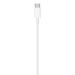 Apple USB-C To Lightning Cable, 100 cm (1 m) length, Compatible with upto 96 W USB-C Power Adapter, Fast Charging, Original, White-3 Apple USB-C To Lightning Cable, 100 cm (1 m) length, Compatible with upto 96 W USB-C Power Adapter, Fast Charging, Original, White-3