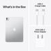 Apple iPad Pro 5th Gen 2024 28.22 cm (11 inch) Wi-Fi Tablet, 256 GB, Silver-11