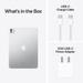 Apple iPad Pro 5th Gen 2024 28.22 cm (11 inch) Wi-Fi Tablet, 2 TB, Silver-11