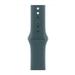 Apple Watch 40 mm Lake Green Sports Band (M/L)-1
