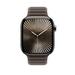 Apple Watch 46 mm Dark Taupe Magnetic Link (S/M)-3