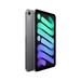 Apple iPad Mini A17 Pro 2024 21.08 cm (8.3 inch) Wi-Fi + Cellular Tablet, 512 GB, Space Grey, MYHC3HN/A-3