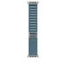 Apple Watch 49 mm Light Blue Alpine Loop Natural Titanium Finish - (M)-1